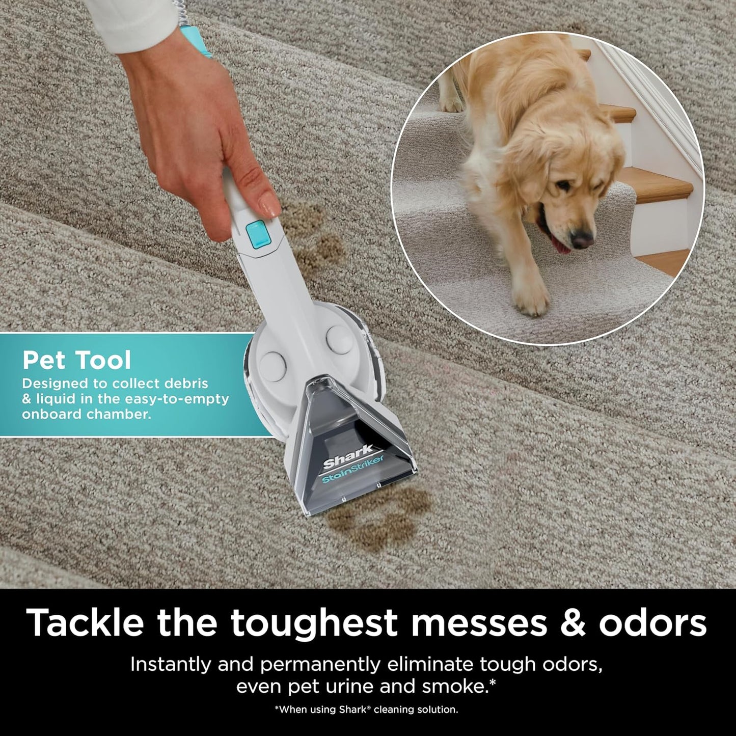 StainMaster Pro | Portable Pet & Carpet Stain Cleaner with 20x Power